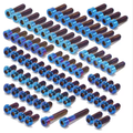 Titanium Bolt Kit | Full set for Light Bee X